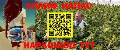 прущие грибы Заводоуковск