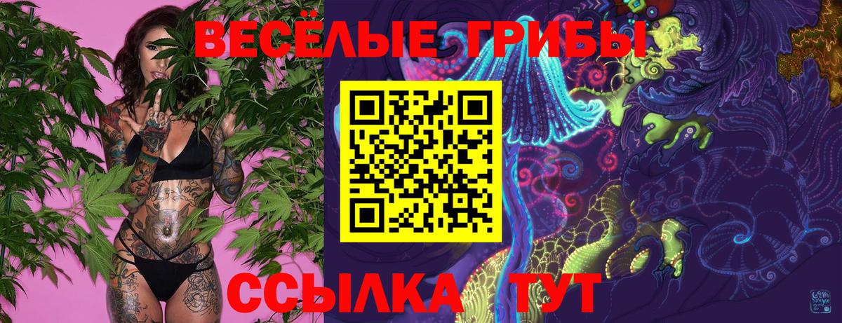 Галлюциногенные грибы мухоморы Зерноград