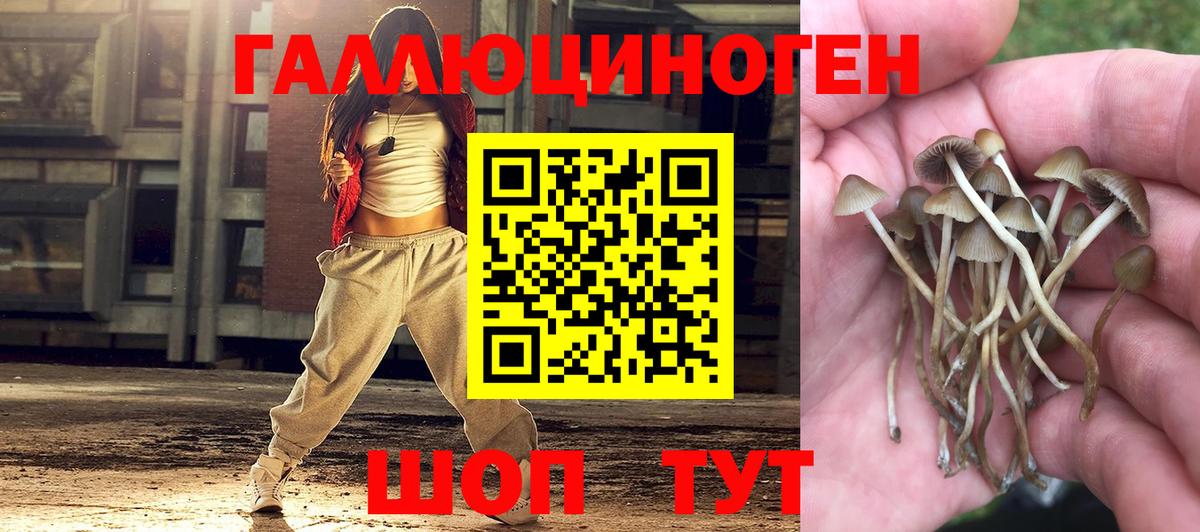Зерноград  Галлюциногенные грибы Psilocybine cubensis  Галлюциногенные грибы мицелий  Вход с VPN 